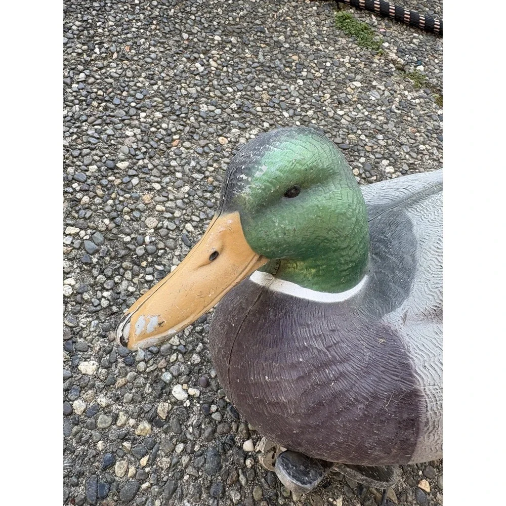 AVERY‎ Greenhead Gear GHG  Mallard Drake DUCK Floating Decoy 60/40 Keel